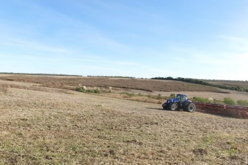 Ariel Svemer - Servi Parts Agromaquinas - Demostración de la sembradora Súper Walter en campos de Celina