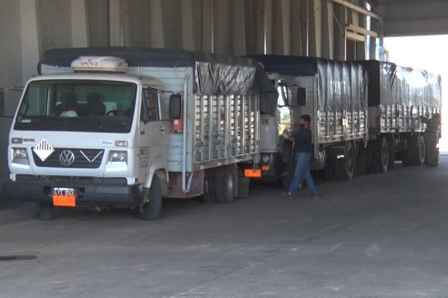 Visita a DASER AGRO Casa Central - Dos décadas de crecimiento al servicio del productor