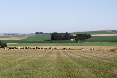 Hay una estrategia para reducir el estrés del agro sobre el ambiente