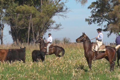 Cabaña Coembotá de Calderón - Recorrida previa al 7° Remate Anual el 2 de Julio 2021 en Feria Maria Dolores de Etchevehere Rural