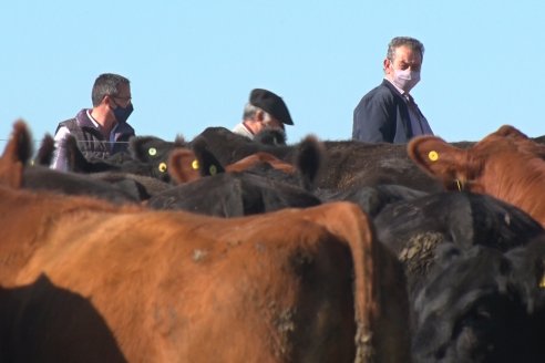 Cabaña Coembotá de Calderón - Recorrida previa al 7° Remate Anual el 2 de Julio 2021 en Feria Maria Dolores de Etchevehere Rural