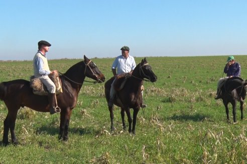 Cabaña Coembotá de Calderón - Recorrida previa al 7° Remate Anual el 2 de Julio 2021 en Feria Maria Dolores de Etchevehere Rural