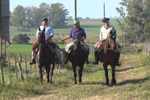 Cabaña Coembotá de Calderón - Recorrida previa al 7° Remate Anual el 2 de Julio 2021 en Feria Maria Dolores de Etchevehere Rural