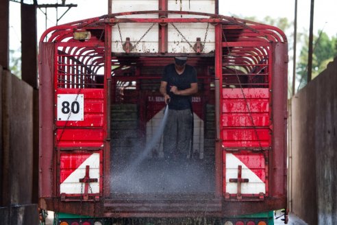 Prevenir el estrés al transportar hacienda hoy en día es un deber