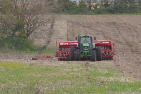 El trigo se mantiene con bajas expectativas de siembra