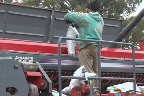 Siembra de Trigo en Victoria - Agrofe Campo