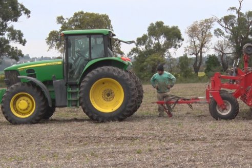 Siembra de Trigo en Victoria - Agrofe Campo