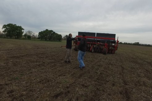 Siembra de Trigo en Victoria - Agrofe Campo