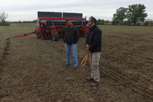 Siembra de Trigo en Victoria - Agrofe Campo