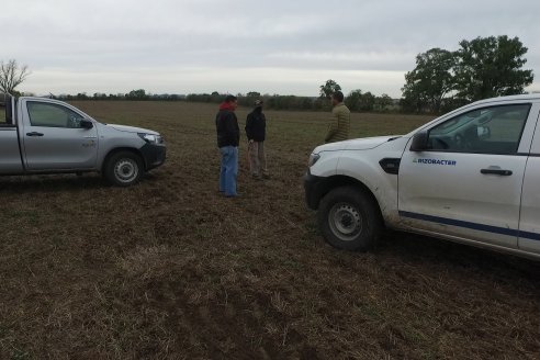 Siembra de Trigo en Victoria - Agrofe Campo