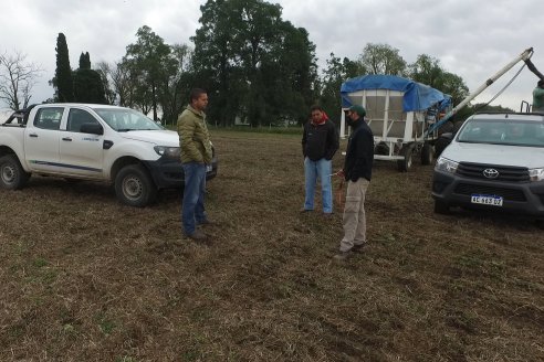 Siembra de Trigo en Victoria - Agrofe Campo