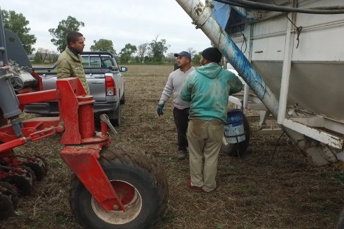 Siembra de Trigo en Victoria - Agrofe Campo