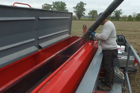 Siembra de Trigo en Victoria - Agrofe Campo