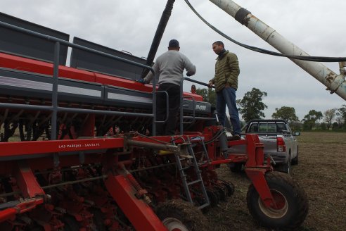 Siembra de Trigo en Victoria - Agrofe Campo