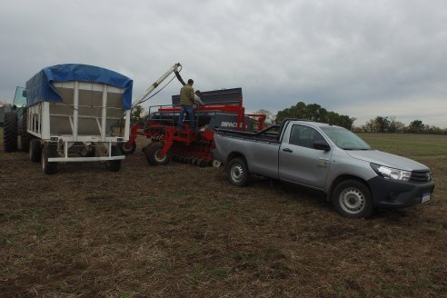 Siembra de Trigo en Victoria - Agrofe Campo