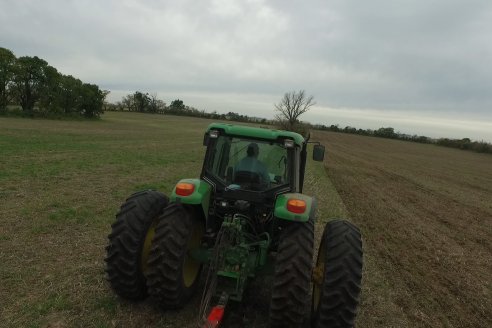 Siembra de Trigo en Victoria - Agrofe Campo