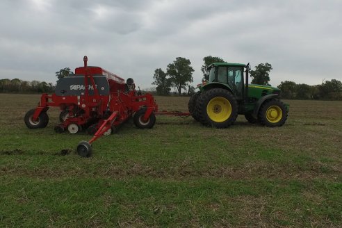 Siembra de Trigo en Victoria - Agrofe Campo