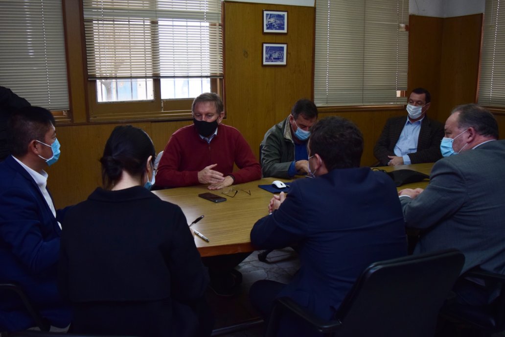 El CEO de la empresa contó que faenan solamente vacas manufactura. El CEO de la empresa contó que faenan solamente vacas manufactura.