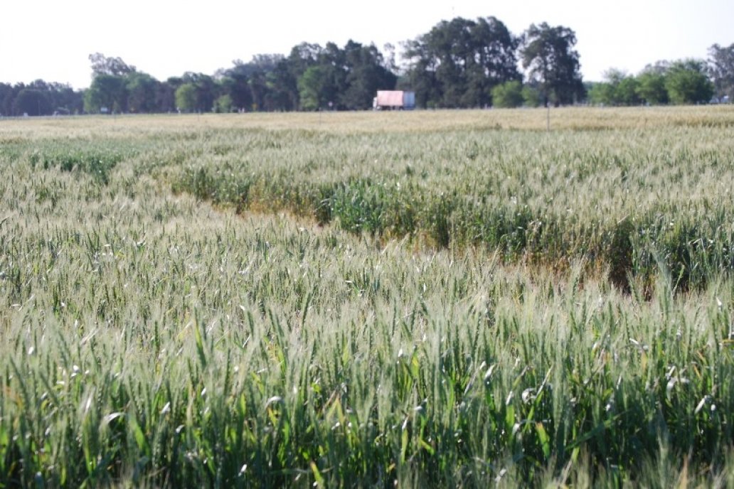 El cuadro de márgenes se modificó por la alteración de precios generales.