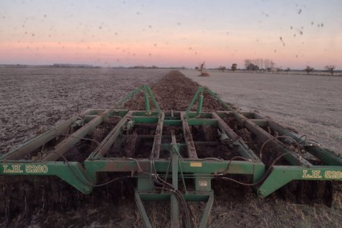 Clima: las fotos de la helada sobre lotes del campo entrerriano