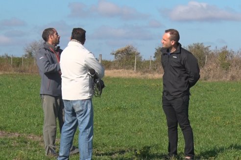 Recorrida por pasturas en campos de Rincón del Nogoyá - Alfalfa Pura y Pasturas Consociadas - Agrofé Campo y Gentos