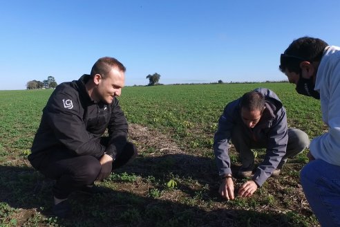 Recorrida por pasturas en campos de Rincón del Nogoyá - Alfalfa Pura y Pasturas Consociadas - Agrofé Campo y Gentos