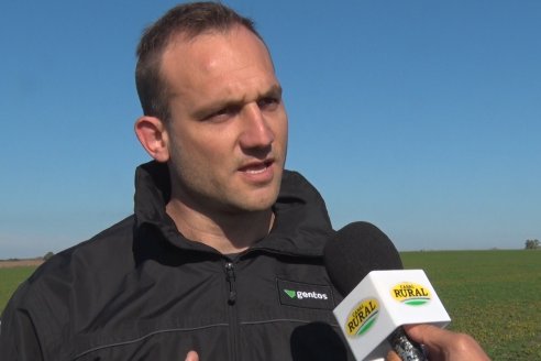 Recorrida por pasturas en campos de Rincón del Nogoyá - Alfalfa Pura y Pasturas Consociadas - Agrofé Campo y Gentos