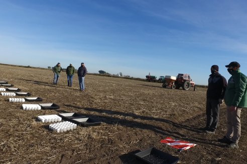 Con un ensayo ayudan a mejorar sistemas de fertilización