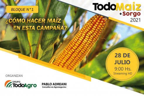 Coloquio de Todo Maíz + Sorgo: las gramíneas definen el campeonato