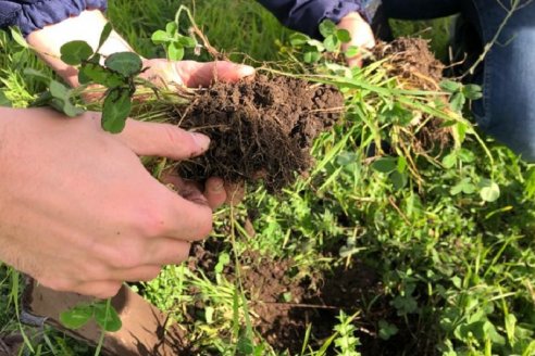 En la Universidad Austral indican que la mitad de los productores ignora lo que es el bono de carbono