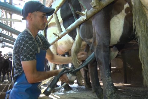 Leche: en un año, el precio al productor subió 60,5%