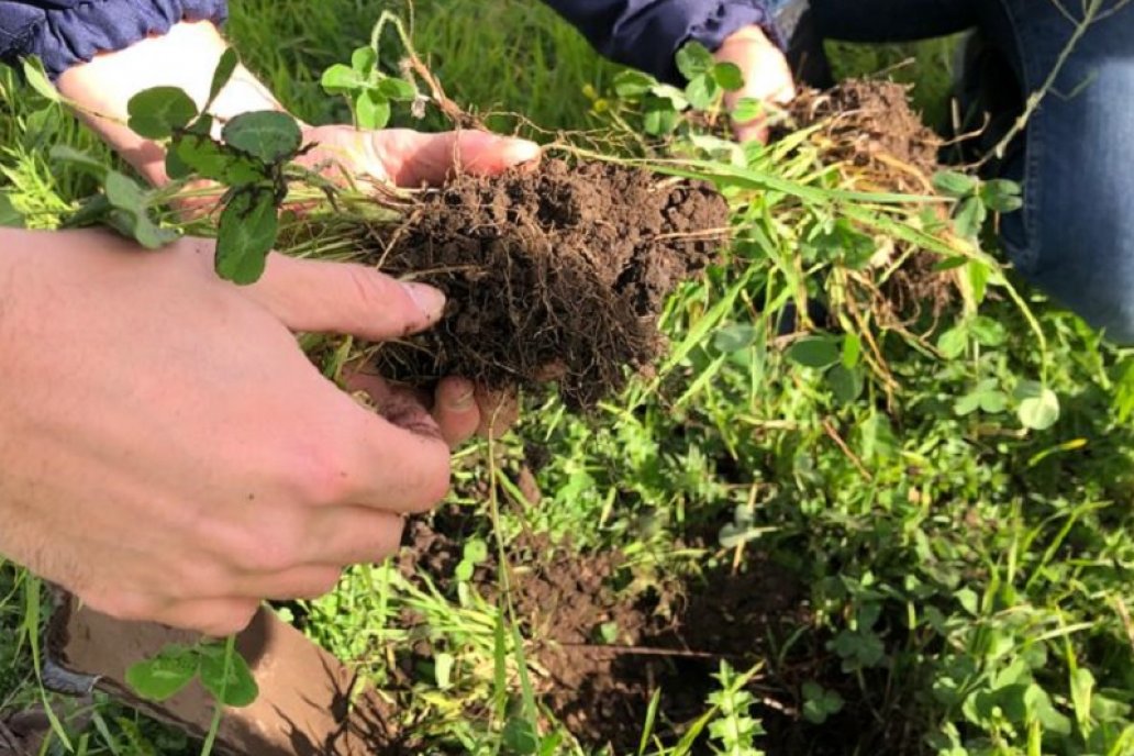 La operatoria beneficia a las empresas que disminuyen la emisión de carbono. La operatoria beneficia a las empresas que disminuyen la emisión de carbono.