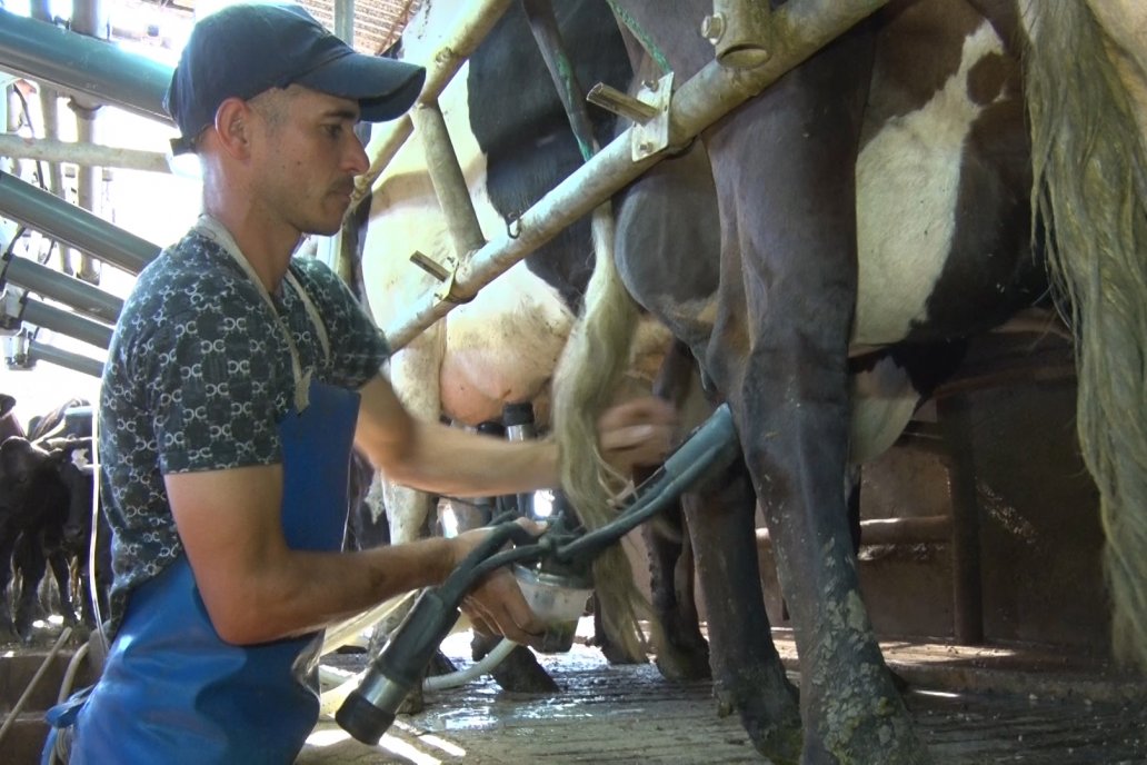 Leche: en un año, el precio al productor subió 60,5% Leche: en un año, el precio al productor subió 60,5%