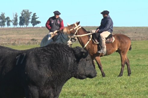 Visita a Campo - A días del remate Angus de Estancia Don Pastor, una recorrida por el lugar de los hechos