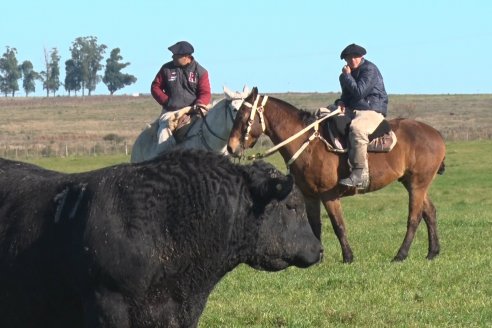 Visita a Campo - A días del remate Angus de Estancia Don Pastor, una recorrida por el lugar de los hechos