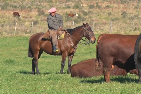 Visita a Campo - A días del remate Angus de Estancia Don Pastor, una recorrida por el lugar de los hechos