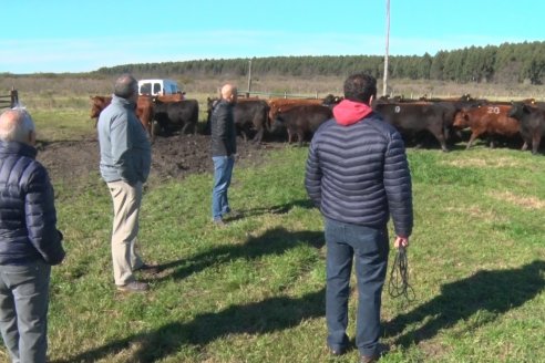 Visita a Campo - A días del remate Angus de Estancia Don Pastor, una recorrida por el lugar de los hechos