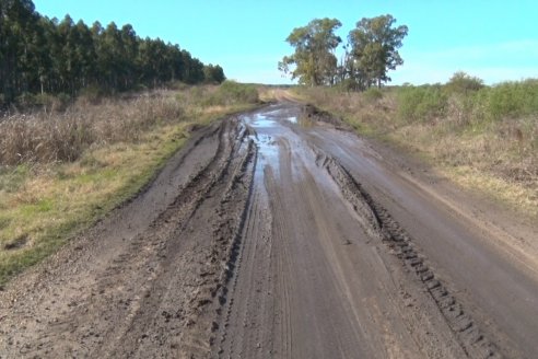 Visita a Campo - A días del remate Angus de Estancia Don Pastor, una recorrida por el lugar de los hechos