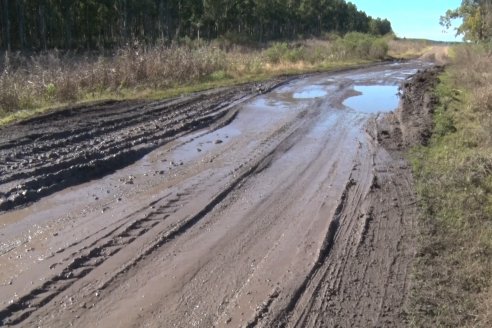 Visita a Campo - A días del remate Angus de Estancia Don Pastor, una recorrida por el lugar de los hechos