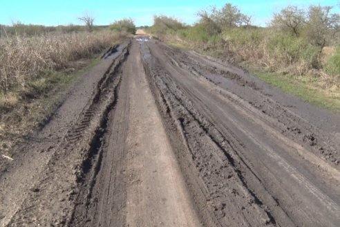 Visita a Campo - A días del remate Angus de Estancia Don Pastor, una recorrida por el lugar de los hechos