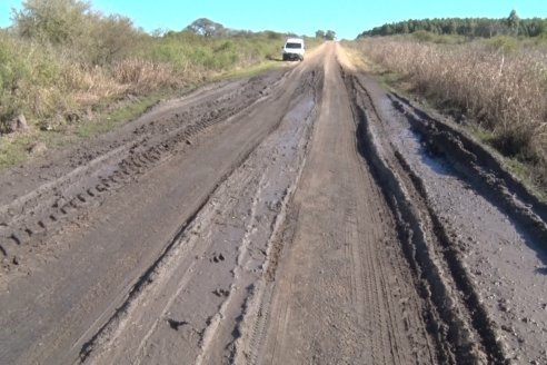 Visita a Campo - A días del remate Angus de Estancia Don Pastor, una recorrida por el lugar de los hechos