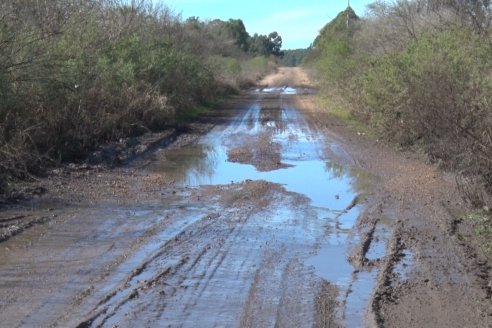 Visita a Campo - A días del remate Angus de Estancia Don Pastor, una recorrida por el lugar de los hechos