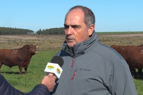 Visita a Campo - A días del remate Angus de Estancia Don Pastor, una recorrida por el lugar de los hechos