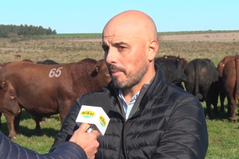 Visita a Campo - A días del remate Angus de Estancia Don Pastor, una recorrida por el lugar de los hechos