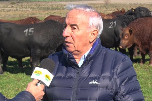 Visita a Campo - A días del remate Angus de Estancia Don Pastor, una recorrida por el lugar de los hechos