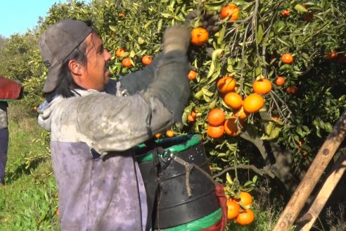 “Por la pandemia la gente come frutas y eso nos beneficia"