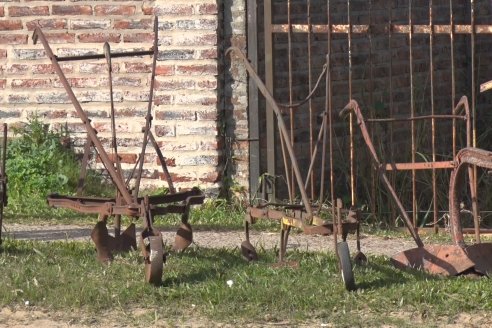 Ricardo Díaz - Artesano de la madera de Concordia - “Mi satisfacción es transmitir el arte”