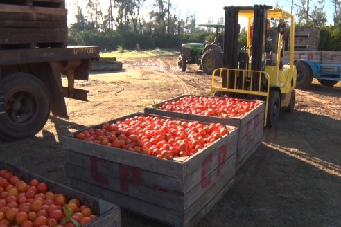 Juan Velazco - Productor Citricola - Quinta San Jorge en Colonia Ayuí