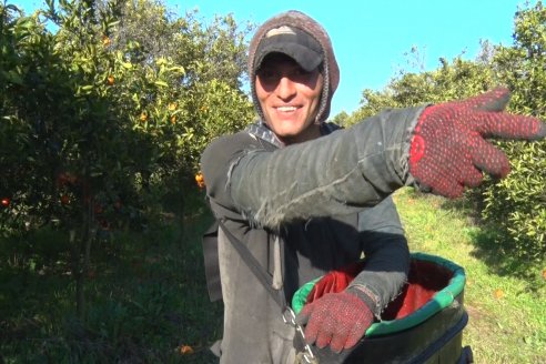 Juan Velazco - Productor Citricola - Quinta San Jorge en Colonia Ayuí