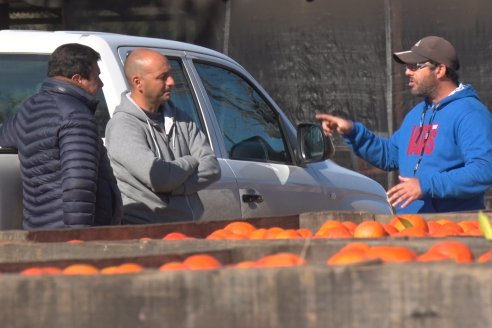 Juan Velazco - Productor Citricola - Quinta San Jorge en Colonia Ayuí